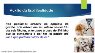 Auxílio da Espiritualidade
Não podíamos interferir no episódio do
gavião, pois estava em seu roteiro perder três
dos seis filhotes, a levamos à casa de Elvirinha
que os alimentaria e por fim foi trazida até
você que poderia cuidar deles.”
Fonte: Todos os animais merecem o céu
 