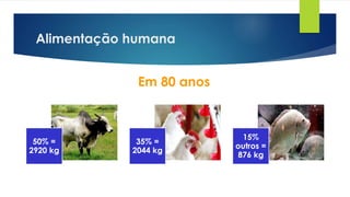Alimentação humana
50% =
2920 kg
35% =
2044 kg
15%
outros =
876 kg
Em 80 anos
 