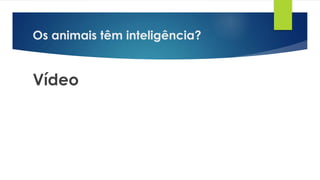 Os animais têm inteligência?
Vídeo
 