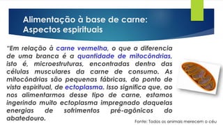 Alimentação à base de carne:
Aspectos espirituais
“Em relação à carne vermelha, o que a diferencia
de uma branca é a quantidade de mitocôndrias,
isto é, microestruturas, encontradas dentro das
células musculares da carne de consumo. As
mitocôndrias são pequenas fábricas, do ponto de
vista espiritual, de ectoplasma. Isso significa que, ao
nos alimentarmos desse tipo de carne, estamos
ingerindo muito ectoplasma impregnado daquelas
energias de sofrimentos pré-agônicos do
abatedouro. Fonte: Todos os animais merecem o céu
 