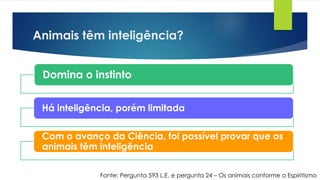 Animais têm inteligência?
Domina o instinto
Há inteligência, porém limitada
Com o avanço da Ciência, foi possível provar que os
animais têm inteligência
Fonte: Pergunta 593 L.E. e pergunta 24 – Os animais conforme o Espiritismo
 