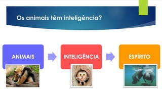 Os animais têm inteligência?
ANIMAIS INTELIGÊNCIA ESPÍRITO
 