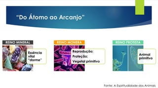 “Do Átomo ao Arcanjo”
Essência
vital
“dorme”
REINO MINERAL
Reprodução;
Proteção;
Vegetal primitivo
REINO MONERA
Animal
primitivo
REINO PROTISTA
Fonte: A Espiritualidade dos Animais
 