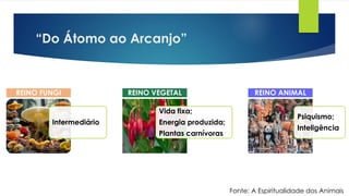 “Do Átomo ao Arcanjo”
Intermediário
REINO FUNGI
Vida fixa;
Energia produzida;
Plantas carnívoras
REINO VEGETAL
Psiquismo;
Inteligência
REINO ANIMAL
Fonte: A Espiritualidade dos Animais
 