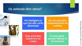 Os animais têm alma?
Há inteligência
que faculta certa
liberdade
Há um princípio
independente da
matéria
Esse princípio
sobrevive ao
corpo
É uma alma,
porém inferior a
do homem
Fonte:Perguntas597e597-aL.E.
 