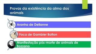 Provas da existência da alma dos
animais
Aranha de Dellanne
Foca de Gambier Bolton
Manifestação pós-morte de animais de
Bozzano
 