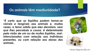 Os animais têm mediunidade?
“É certo que os Espíritos podem tornar-se
visíveis e tangíveis aos animais e, muitas
vezes, o terror súbito que eles denotam, sem
que lhes percebais a causa, é determinado
pela visão de um ou de muitos Espíritos, mal-
intencionados com relação aos indivíduos
presentes, ou com relação aos donos dos
animais.
Fonte: Pergunta 236 L.M.
 