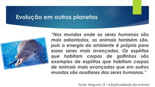 Evolução em outros planetas
“Nos mundos onde os seres humanos são
mais adiantados, os animais também são,
pois a energia do ambiente é própria para
esses seres mais avançados. Os espíritos
que habitam corpos de golfinhos são
exemplos de espíritos que habitam corpos
de animais mais avançados que em outros
mundos são auxiliares dos seres humanos.”
Fonte: Pergunta 13 – A Espiritualidade dos Animais
 