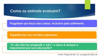 Como os animais evoluem?
Progridem por força das coisas, inclusive pelo sofrimento.
Experiências nos mundos superiores.
“O cão não faz progredir o cão”: o dono é sempre o
responsável por sua educação?
Fonte: Pergunta 601 L.E. e pergunta 236 L.M.
 