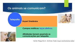Os animais se comunicam?
Rupert Sheldrake
Campos mórficos: laços afetivos.
Afinidades tornam possíveis as
comunicações por telepatia.
Telepatia
Fonte: Pergunta 4 – Animais: Tudo o que você precisa saber
 