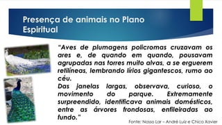 Presença de animais no Plano
Espiritual
“Aves de plumagens policromas cruzavam os
ares e, de quando em quando, pousavam
agrupadas nas torres muito alvas, a se erguerem
retilíneas, lembrando lírios gigantescos, rumo ao
céu.
Das janelas largas, observava, curioso, o
movimento do parque. Extremamente
surpreendido, identificava animais domésticos,
entre as árvores frondosas, enfileiradas ao
fundo.”
Fonte: Nosso Lar – André Luiz e Chico Xavier
 