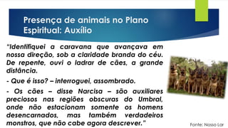 Presença de animais no Plano
Espiritual: Auxílio
“Identifiquei a caravana que avançava em
nossa direção, sob a claridade branda do céu.
De repente, ouvi o ladrar de cães, a grande
distância.
- Que é isso? – interroguei, assombrado.
- Os cães – disse Narcisa – são auxiliares
preciosos nas regiões obscuras do Umbral,
onde não estacionam somente os homens
desencarnados, mas também verdadeiros
monstros, que não cabe agora descrever.” Fonte: Nosso Lar
 