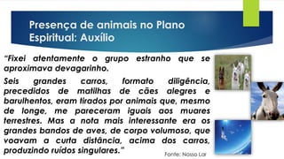 Presença de animais no Plano
Espiritual: Auxílio
“Fixei atentamente o grupo estranho que se
aproximava devagarinho.
Seis grandes carros, formato diligência,
precedidos de matilhas de cães alegres e
barulhentos, eram tirados por animais que, mesmo
de longe, me pareceram iguais aos muares
terrestres. Mas a nota mais interessante era os
grandes bandos de aves, de corpo volumoso, que
voavam a curta distância, acima dos carros,
produzindo ruídos singulares.” Fonte: Nosso Lar
 