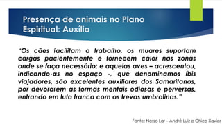 Presença de animais no Plano
Espiritual: Auxílio
“Os cães facilitam o trabalho, os muares suportam
cargas pacientemente e fornecem calor nas zonas
onde se faça necessário; e aquelas aves – acrescentou,
indicando-as no espaço -, que denominamos íbis
viajadores, são excelentes auxiliares dos Samaritanos,
por devorarem as formas mentais odiosas e perversas,
entrando em luta franca com as trevas umbralinas.”
Fonte: Nosso Lar – André Luiz e Chico Xavier
 