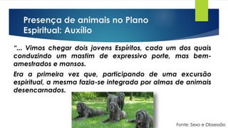 Presença de animais no Plano
Espiritual: Auxílio
“... Vimos chegar dois jovens Espíritos, cada um dos quais
conduzindo um mastim de expressivo porte, mas bem-
amestrados e mansos.
Era a primeira vez que, participando de uma excursão
espiritual, a mesma fazia-se integrada por almas de animais
desencarnados.
Fonte: Sexo e Obsessão
 