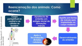 Reencarnação dos animais: Como
ocorre?
Fonte:Pergunta67–AEspiritualidade
dosAnimais
Corpo
perispiritual se
contrai e as
células se
fundem
Aparência de
embrião em
estágio inicial de
formação:
mórula
Espírito em forma
de mórula será
implantado no
corpo materno
Desenvolvimento
do embrião
Após a
fecundação:
divisões
celulares
 