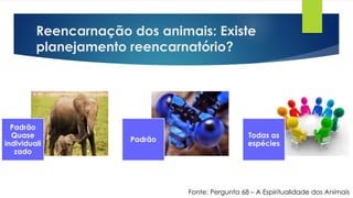 Reencarnação dos animais: Existe
planejamento reencarnatório?
Fonte: Pergunta 68 – A Espiritualidade dos Animais
Padrão
Quase
individuali
zado
Padrão
Todas as
espécies
 