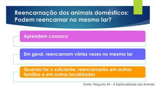 Reencarnação dos animais domésticos:
Podem reencarnar no mesmo lar?
Fonte: Pergunta 69 – A Espiritualidade dos Animais
Aprendem conosco
Em geral, reencarnam várias vezes no mesmo lar
Quando for o suficiente, reencarnarão em outras
famílias e em outras localidades
 