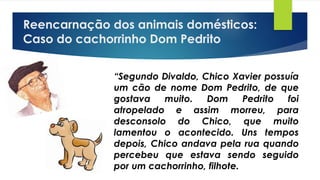Reencarnação dos animais domésticos:
Caso do cachorrinho Dom Pedrito
“Segundo Divaldo, Chico Xavier possuía
um cão de nome Dom Pedrito, de que
gostava muito. Dom Pedrito foi
atropelado e assim morreu, para
desconsolo do Chico, que muito
lamentou o acontecido. Uns tempos
depois, Chico andava pela rua quando
percebeu que estava sendo seguido
por um cachorrinho, filhote.
 