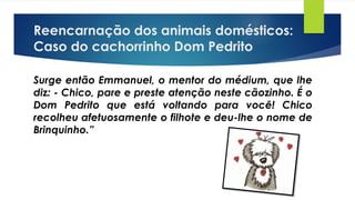 Surge então Emmanuel, o mentor do médium, que lhe
diz: - Chico, pare e preste atenção neste cãozinho. É o
Dom Pedrito que está voltando para você! Chico
recolheu afetuosamente o filhote e deu-lhe o nome de
Brinquinho.”
Reencarnação dos animais domésticos:
Caso do cachorrinho Dom Pedrito
 
