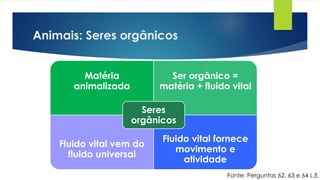 Animais: Seres orgânicos
Matéria
animalizada
Ser orgânico =
matéria + fluido vital
Fluido vital vem do
fluido universal
Fluido vital fornece
movimento e
atividade
Seres
orgânicos
Fonte: Perguntas 62, 63 e 64 L.E.
 