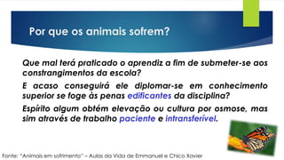 Por que os animais sofrem?
Que mal terá praticado o aprendiz a fim de submeter-se aos
constrangimentos da escola?
E acaso conseguirá ele diplomar-se em conhecimento
superior se foge às penas edificantes da disciplina?
Espírito algum obtém elevação ou cultura por osmose, mas
sim através de trabalho paciente e intransferível.
Fonte: “Animais em sofrimento” – Aulas da Vida de Emmanuel e Chico Xavier
 