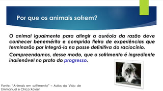 Por que os animais sofrem?
O animal igualmente para atingir a auréola da razão deve
conhecer benemérita e comprida fieira de experiências que
terminarão por integrá-la na posse definitiva do raciocínio.
Compreendamos, desse modo, que o sofrimento é ingrediente
inalienável no prato do progresso.
Fonte: “Animais em sofrimento” – Aulas da Vida de
Emmanuel e Chico Xavier
 
