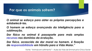 Por que os animais sofrem?
O animal se esforça para obter as próprias percepções e
estabelecê-las.
O homem se esforça avançando da inteligência para a
sublimação.
Dor física no animal é passaporte para mais amplos
recursos nos domínios da evolução.
Dor física, acrescida de dor moral no homem, é fixação
de responsabilidade em trânsito para a Vida Maior.”
Fonte: “Animais em sofrimento” – Aulas da Vida de Emmanuel e Chico Xavier
 