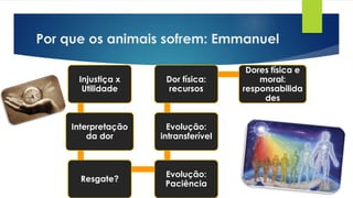 Por que os animais sofrem: Emmanuel
Injustiça x
Utilidade
Interpretação
da dor
Resgate?
Evolução:
Paciência
Evolução:
intransferível
Dor física:
recursos
Dores física e
moral:
responsabilida
des
 