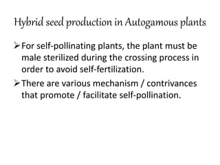 Hybrid seed technology | PPTX