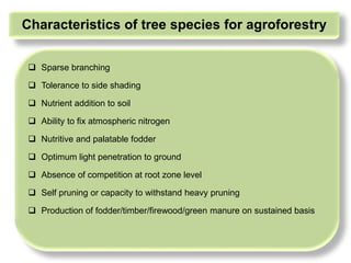 Agroforestry based forage production systems for hills | PPTX