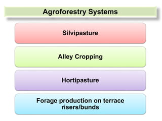 Agroforestry based forage production systems for hills | PPTX
