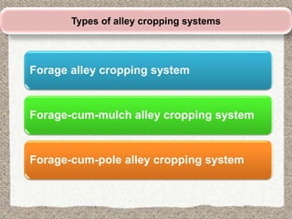Agroforestry based forage production systems for hills | PPTX