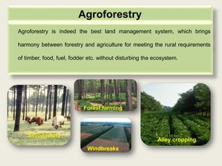 Silvopasture
Alley cropping
Windbreaks
Forest farming
Agroforestry
Agroforestry is indeed the best land management system,...
