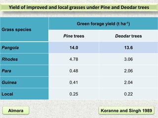 Yield of improved and local grasses under Pine and Deodar trees
Grass species
Green forage yield (t ha-1)
Pine trees Deoda...