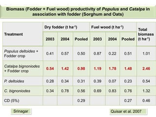Biomass (Fodder + Fuel wood) productivity of Populus and Catalpa in
association with fodder (Sorghum and Oats)
Treatment
D...