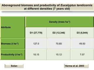 Aboveground biomass and productivity of Eucalyptus tereticornis
at different densities (7 years old)
Attribute
Density (tr...