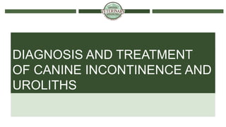DIAGNOSIS AND TREATMENT
OF CANINE INCONTINENCE AND
UROLITHS
 