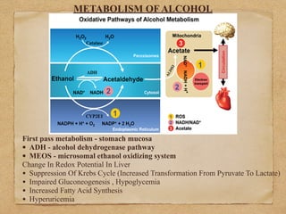 METABOLISM OF ALCOHOL
First pass metabolism - stomach mucosa
• ADH - alcohol dehydrogenase pathway
• MEOS - microsomal eth...