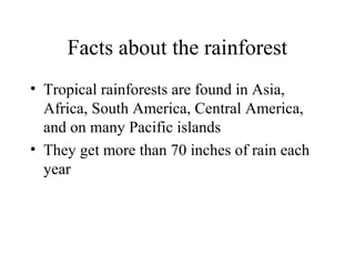 Facts about the rainforest
• Tropical rainforests are found in Asia,
Africa, South America, Central America,
and on many Pacific islands
• They get more than 70 inches of rain each
year
 