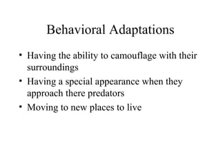 Behavioral Adaptations
• Having the ability to camouflage with their
surroundings
• Having a special appearance when they
approach there predators
• Moving to new places to live
 