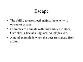Escape
• The ability to use speed against the enemy to
outrun or escape
• Examples of animals with this ability are Deer,
Ostriches, Cheetahs, Jaguars, Antelopes, etc.
• A good example is when the deer runs away from
a Lion
 