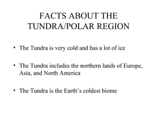FACTS ABOUT THE
TUNDRA/POLAR REGION
• The Tundra is very cold and has a lot of ice
• The Tundra includes the northern lands of Europe,
Asia, and North America
• The Tundra is the Earth’s coldest biome
 