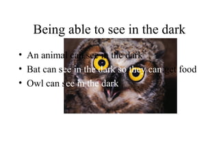 Being able to see in the dark
• An animal can see in the dark
• Bat can see in the dark so they can get food
• Owl can see in the dark
 