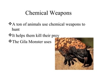 Chemical Weapons
A ton of animals use chemical weapons to
hunt
It helps them kill their prey
The Gila Monster uses
 