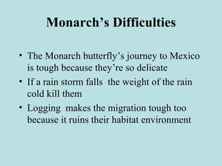 Monarch’s Difficulties
• The Monarch butterfly’s journey to Mexico
is tough because they’re so delicate
• If a rain storm falls the weight of the rain
cold kill them
• Logging makes the migration tough too
because it ruins their habitat environment
 