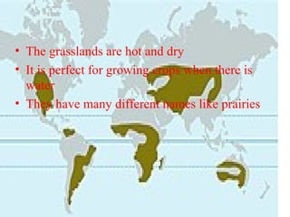 • The grasslands are hot and dry
• It is perfect for growing crops when there is
water
• They have many different names like prairies
 