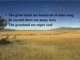 • The grass lands are hundreds of miles long
• Be careful there are many ticks
• The grassland are super cool
 