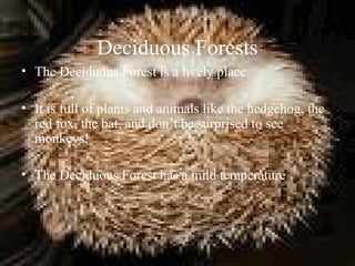 Deciduous Forests
• The Deciduous Forest is a lively place
• It is full of plants and animals like the hedgehog, the
red fox, the bat, and don’t be surprised to see
monkeys!
• The Deciduous Forest has a mild temperature
 