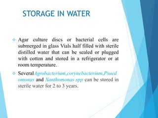 STORAGE IN WATER
 Agar culture discs or bacterial cells are
submerged in glass Vials half filled with sterile
distilled water that can be sealed or plugged
with cotton and stored in a refrigerator or at
room temperature.
 SeveralAgrobacterium,corynebacterium,Psued
omonas and Xanthomonas spp can be stored in
sterile water for 2 to 3 years.
 